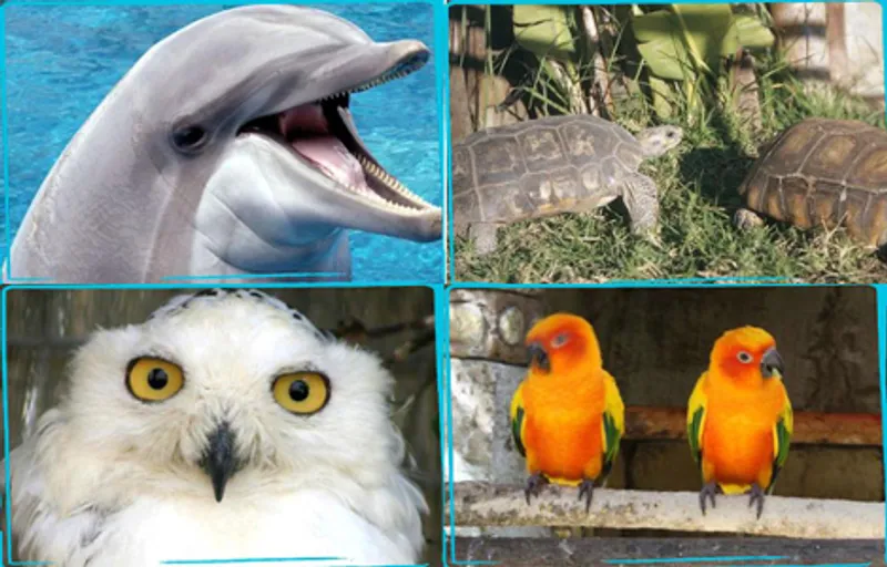 Mundomar, parque de animales marinos