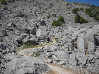 Zona de Partagat