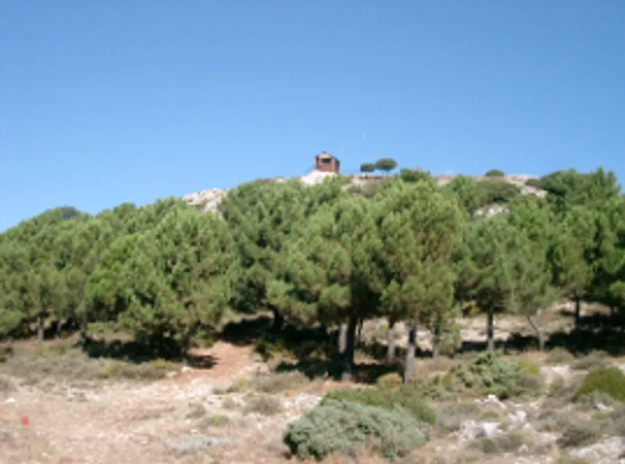 Vistas de la montaña desde el castillo