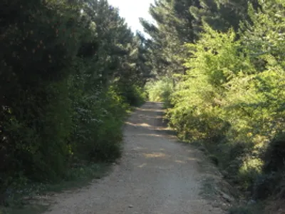 Vistas de la Serrella